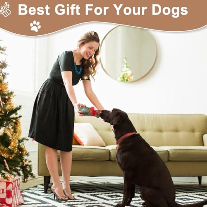 Unleash the Fun: Tough Dog Toys for Aggressive Chewers