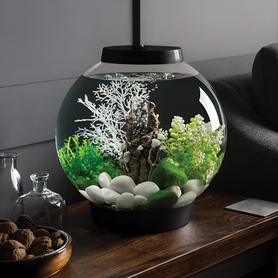 Essential Fish Tank Accessories for Beginners
