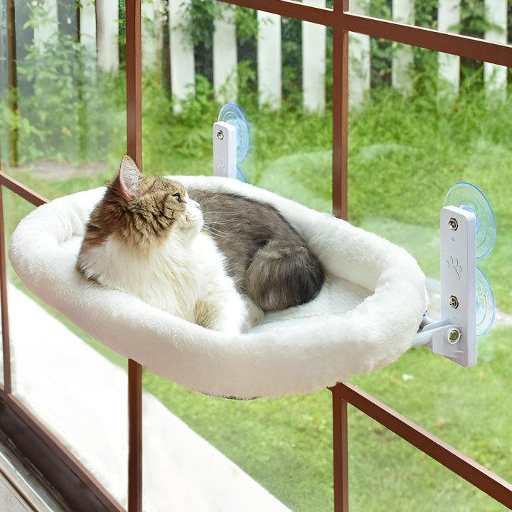 How to Choose the Perfect Pet Bed