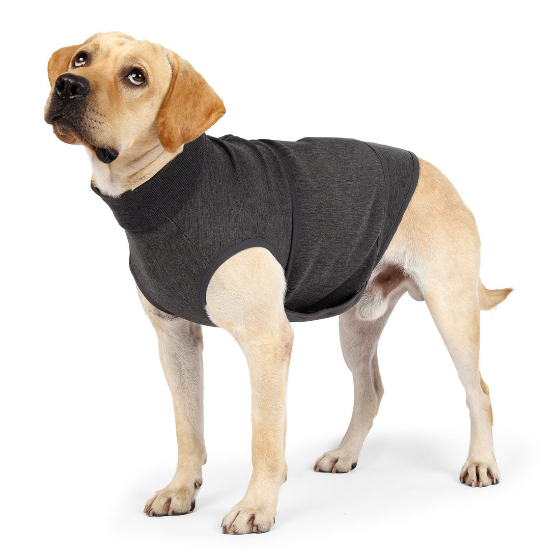 Pet Polyester Emotional Comfort Cotton Double