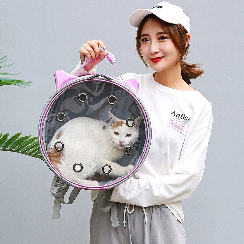 Transparent Portable Breathable Backpack