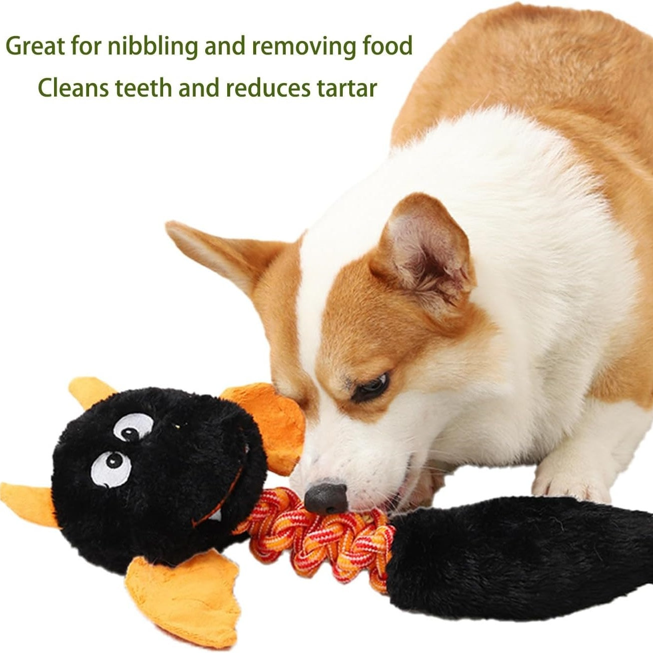 Plush Dog Toys Squeaky Dog Toys Cat Toys