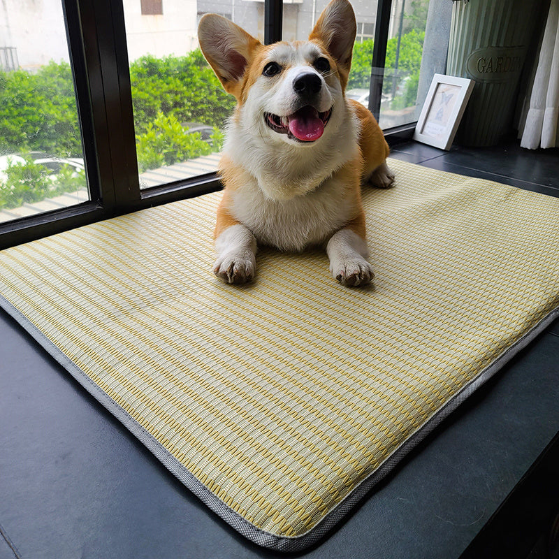 Dog Mat Sleeping With Pet Mat Summer