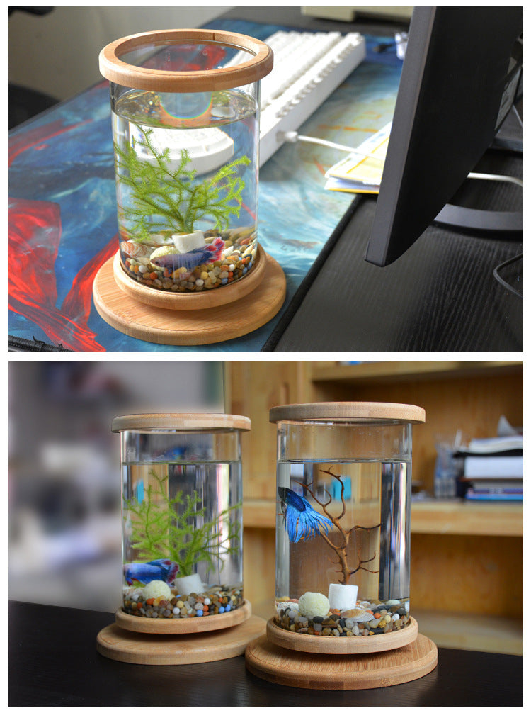 Small Office Glass Aquarium Bamboo Base Mini