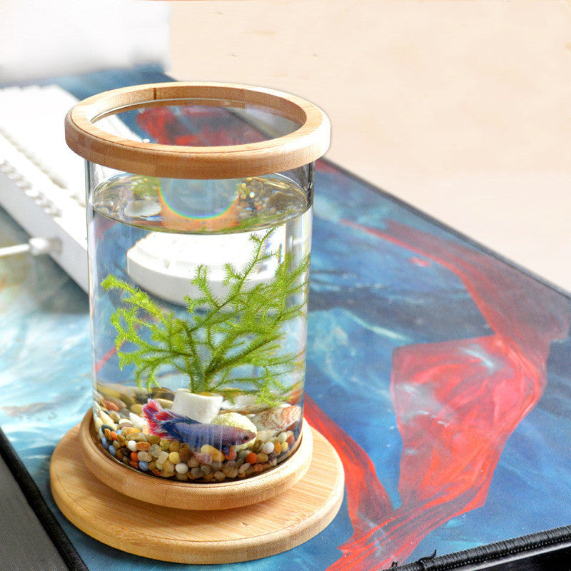 Small Office Glass Aquarium Bamboo Base Mini