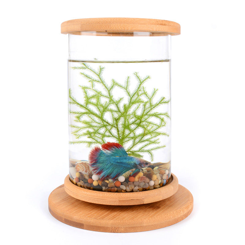Small Office Glass Aquarium Bamboo Base Mini