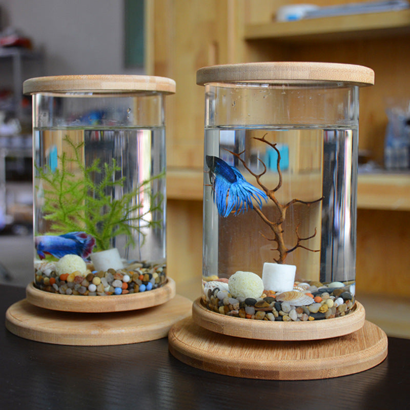 Small Office Glass Aquarium Bamboo Base Mini