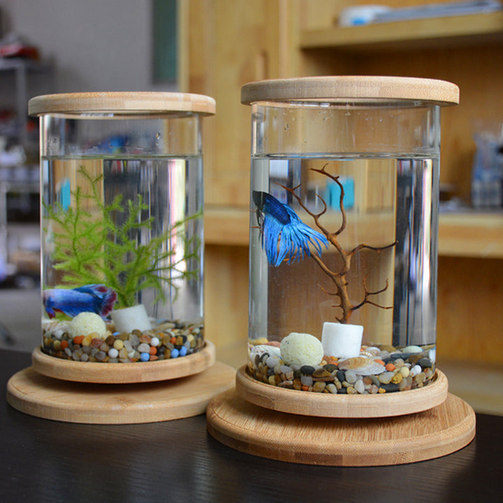 Small Office Glass Aquarium Bamboo Base Mini