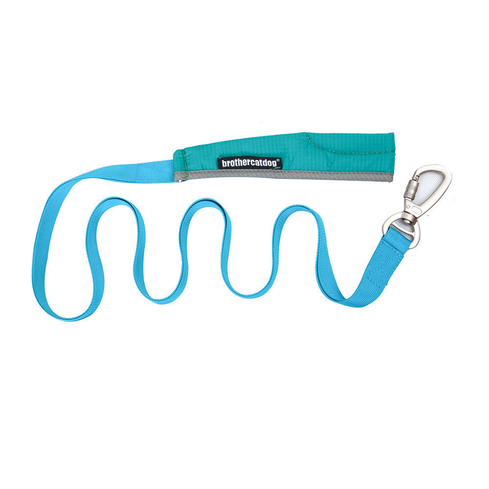 Explosion Proof Big Dog Chest Strap Cat Leash