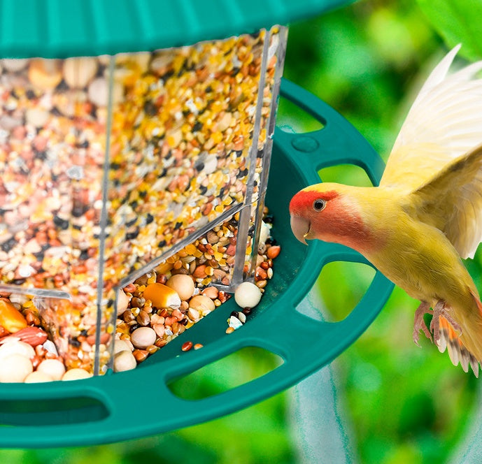 Garden Hanging Transparent Bird Feeder