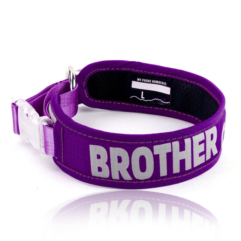 Explosion Proof Big Dog Chest Strap Cat Leash