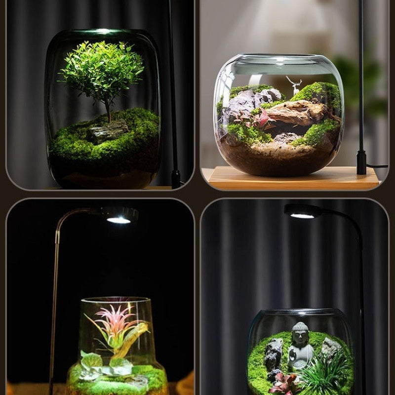 Led Micro Landscape Fish Tank