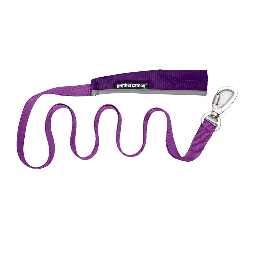 Explosion Proof Big Dog Chest Strap Cat Leash