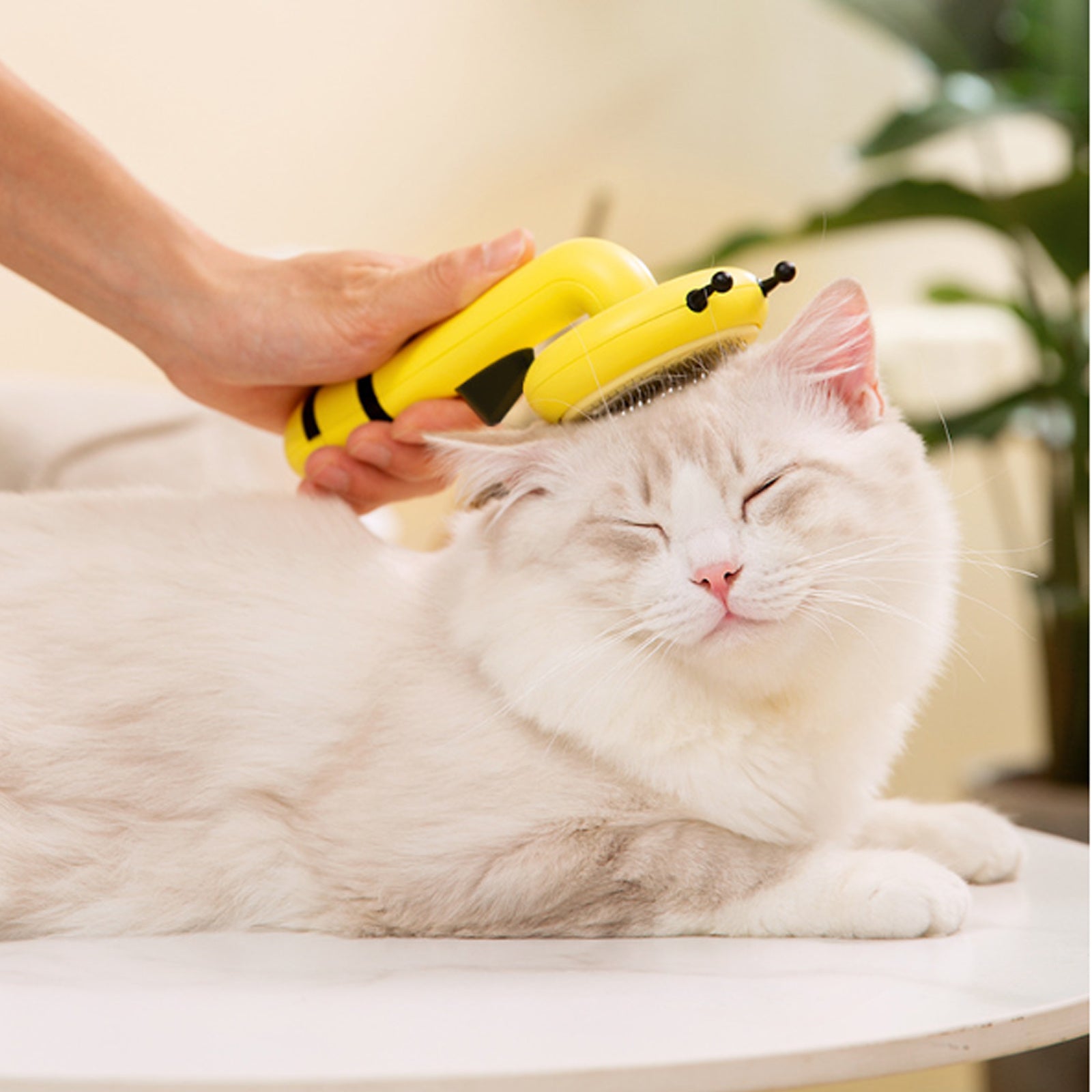 Little Bee Pet Needle Comb Cat Comb One