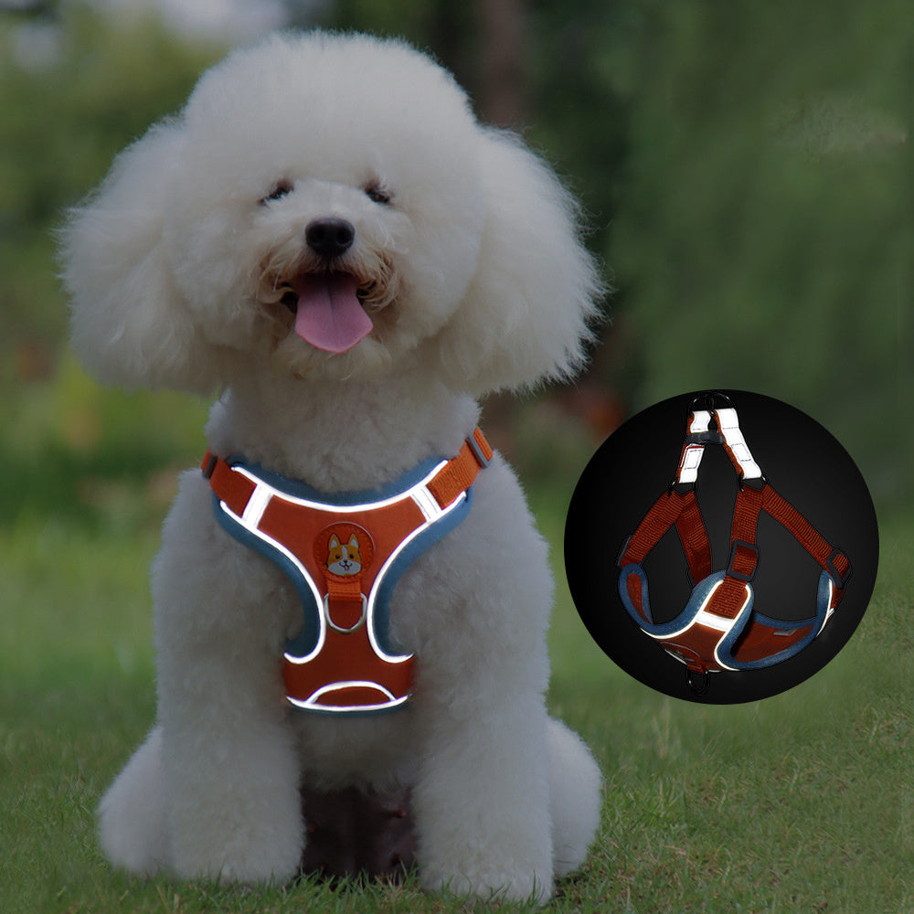 New Dog Leash And Harness Set Pet Dog