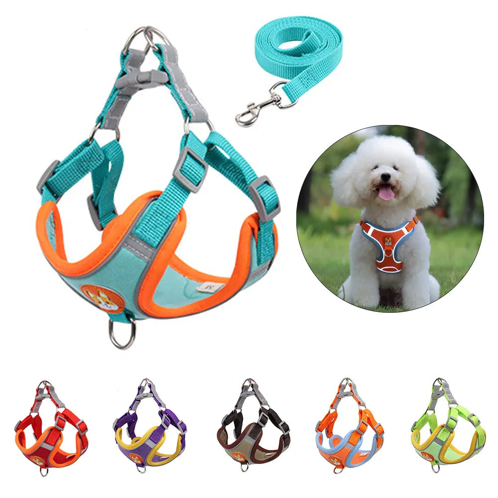 New Dog Leash And Harness Set Pet Dog