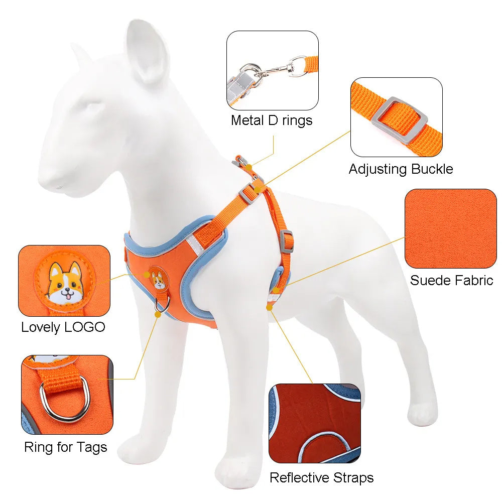 New Dog Leash And Harness Set Pet Dog
