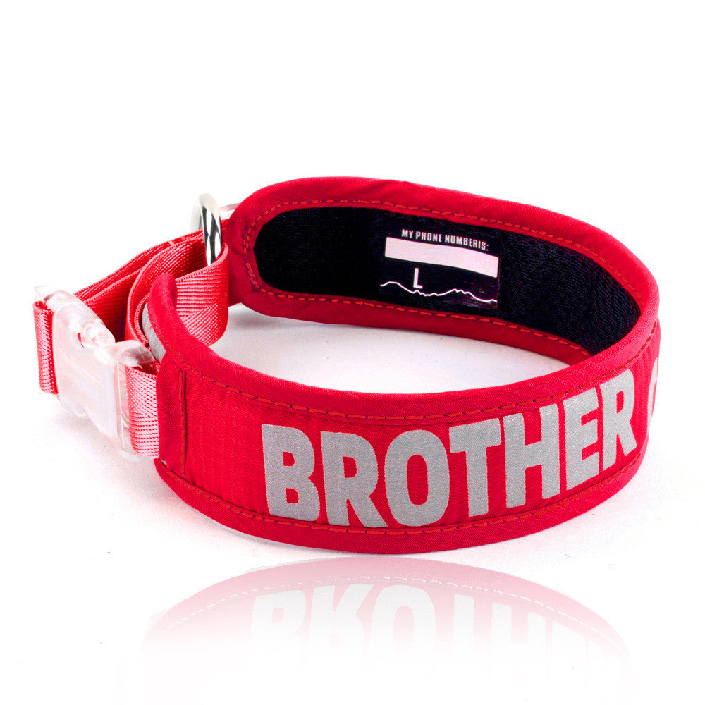 Explosion Proof Big Dog Chest Strap Cat Leash