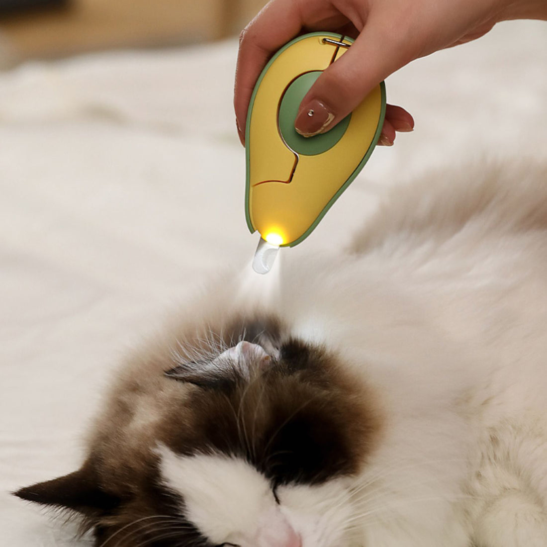 Professional Pet Nail Clipper LED Light Pet Nail