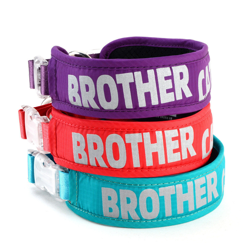 Explosion Proof Big Dog Chest Strap Cat Leash