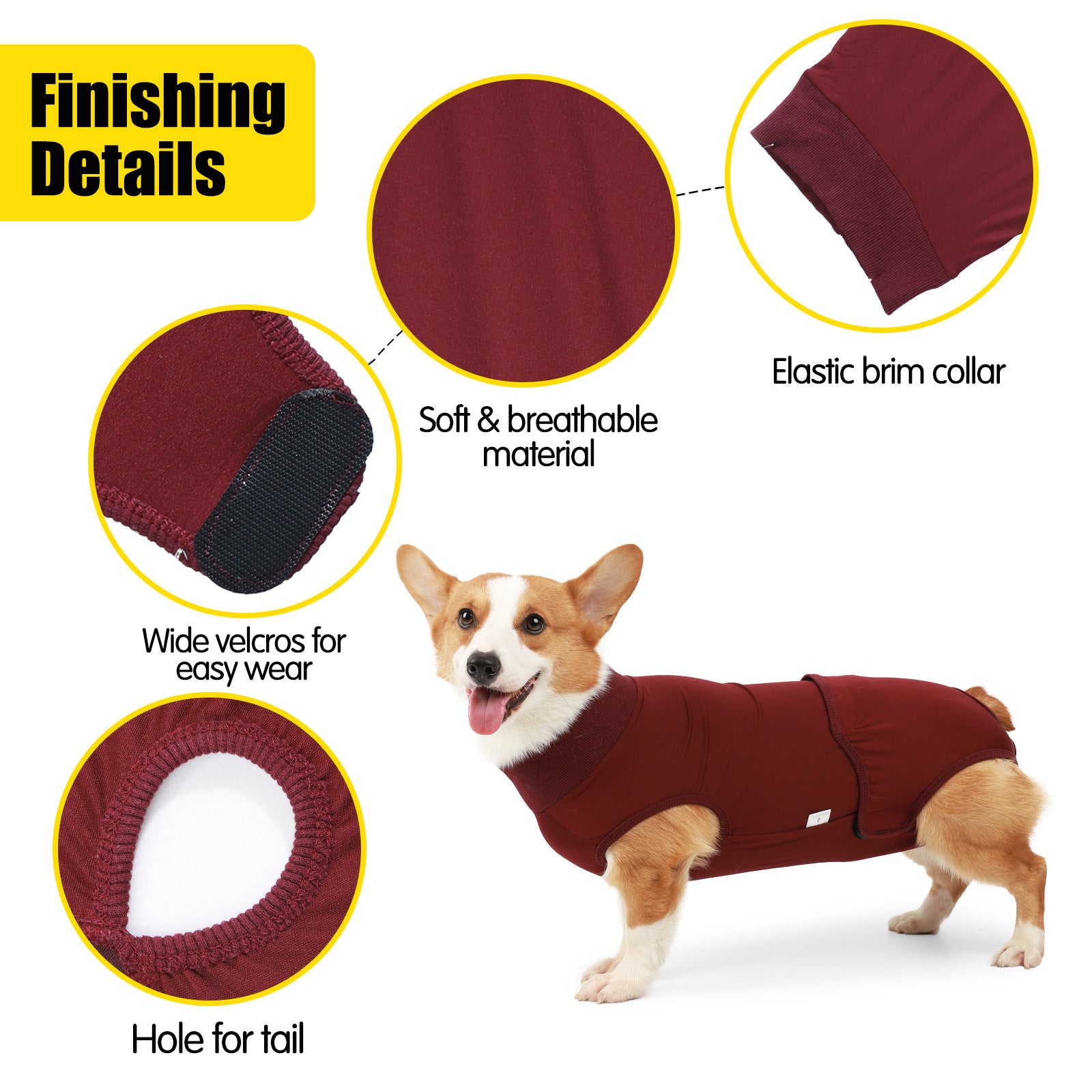 Wearing Pet Dog Clothing