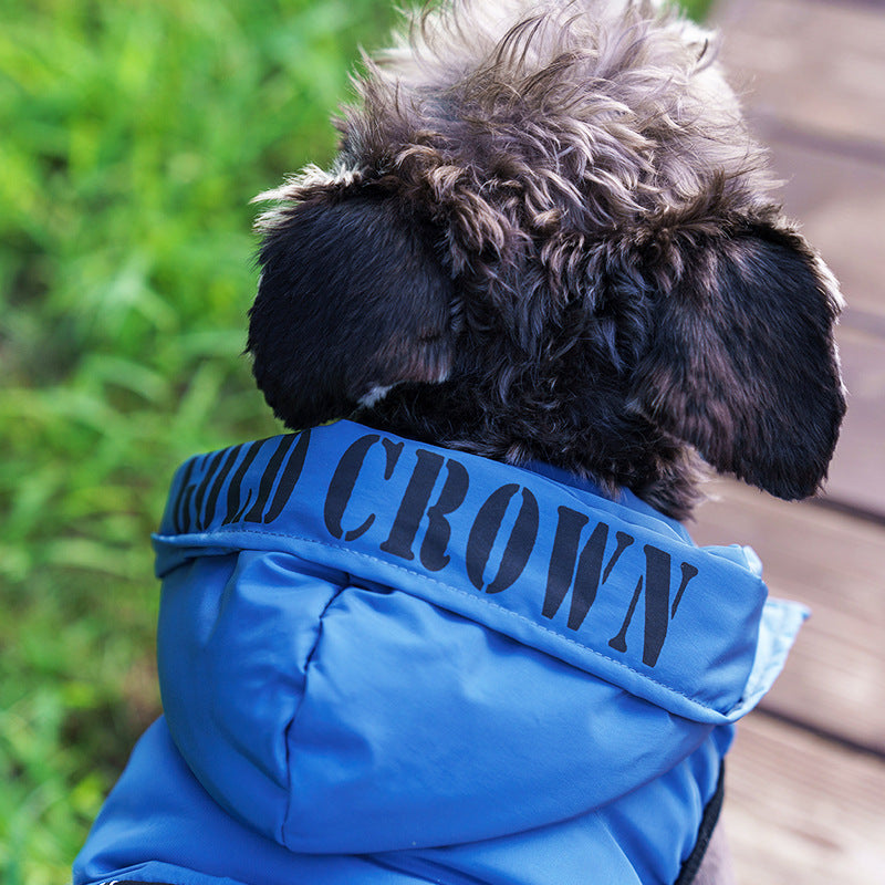 Autumn And Winter New Pet Hooded