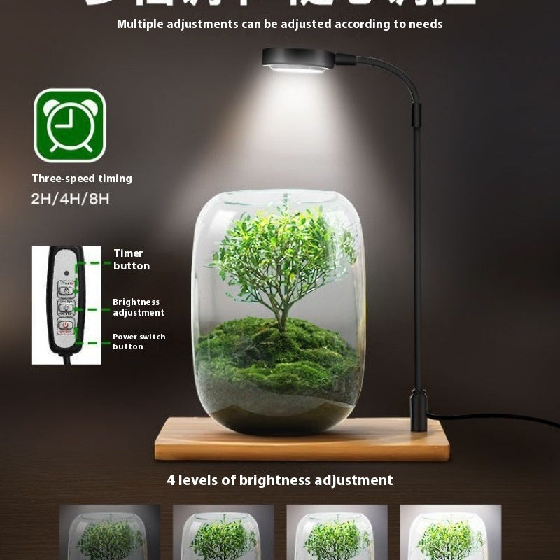 Led Micro Landscape Fish Tank