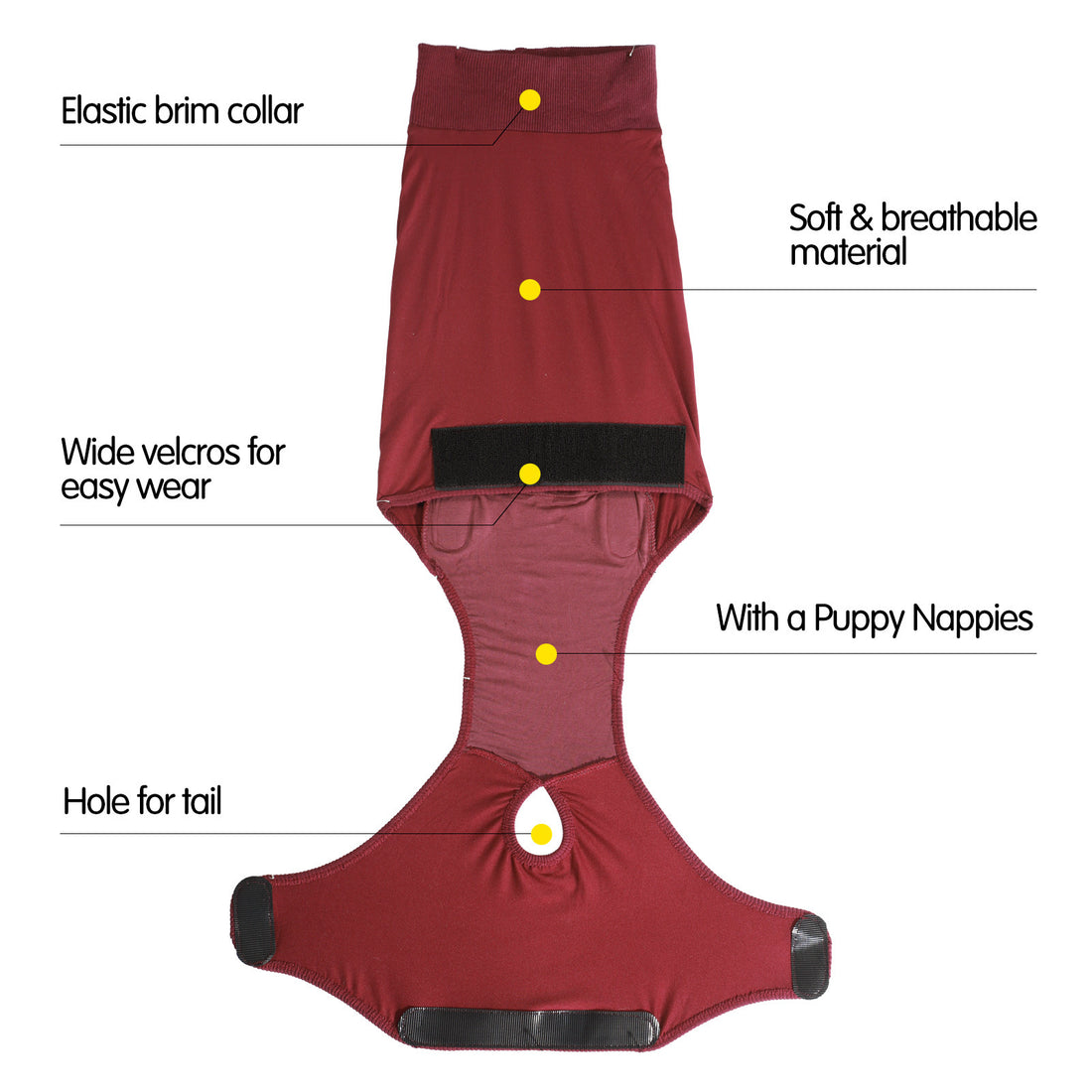 Wearing Pet Dog Clothing