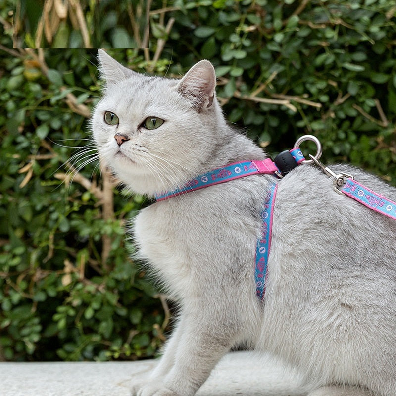 Pet Cat Bell Chest Strap Haulage Rope Package