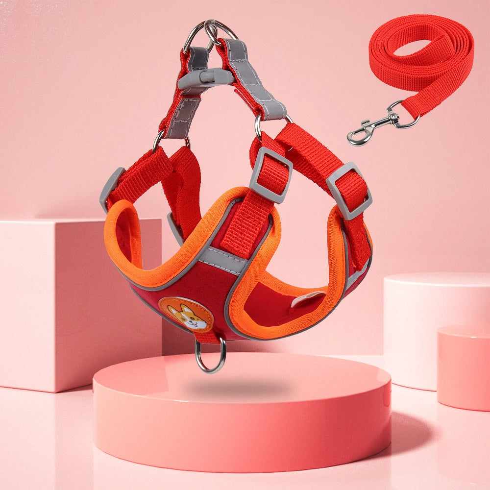 New Dog Leash And Harness Set Pet Dog