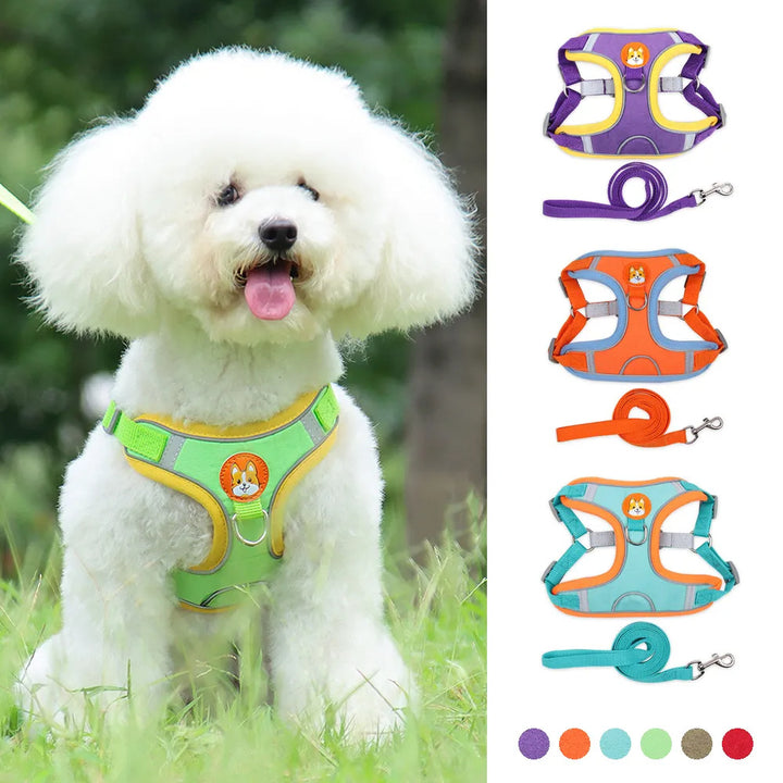 New Dog Leash And Harness Set Pet Dog