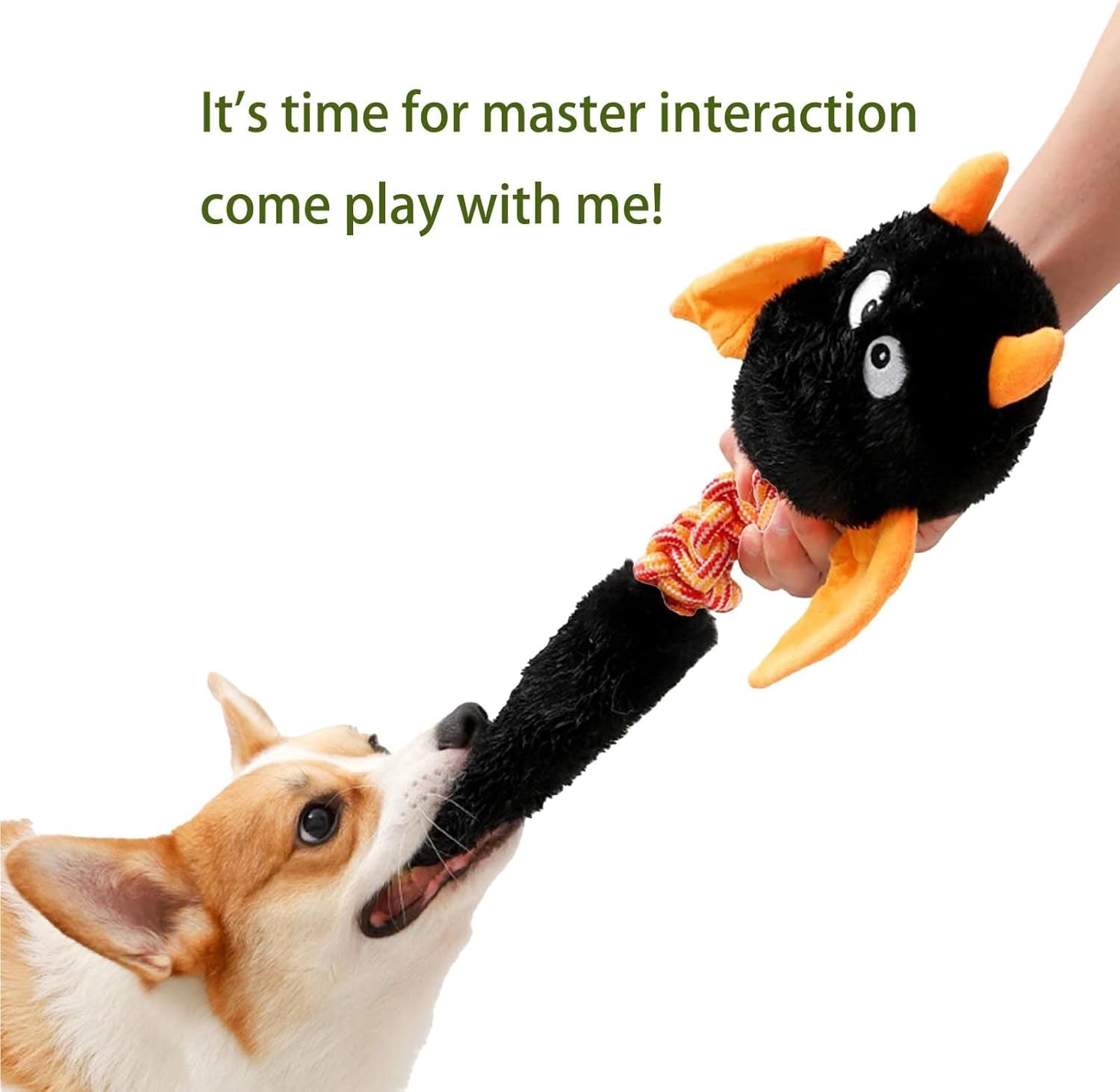 Plush Dog Toys Squeaky Dog Toys Cat Toys