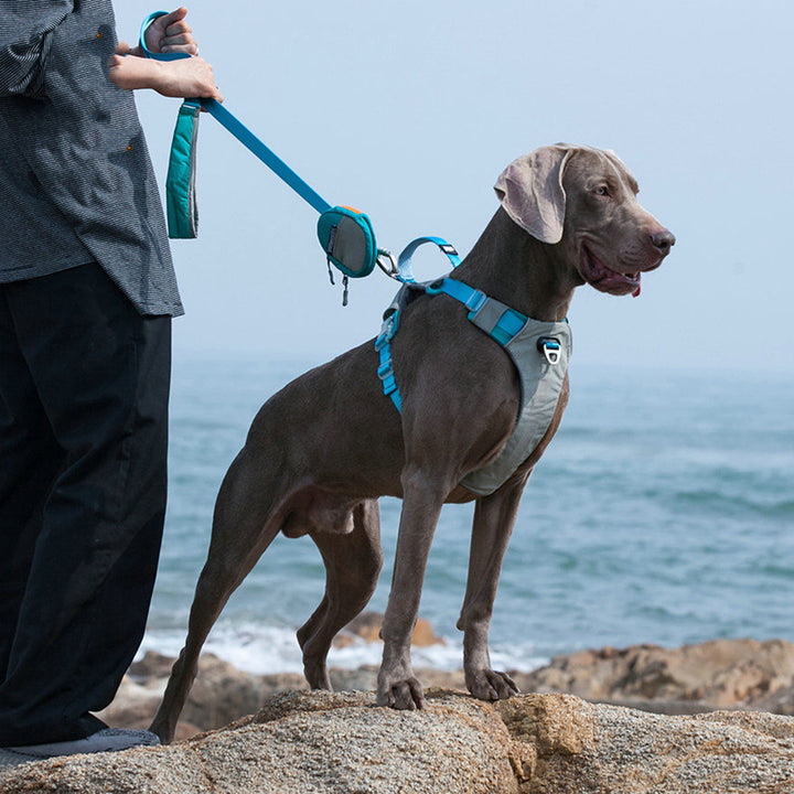 Explosion Proof Big Dog Chest Strap Cat Leash