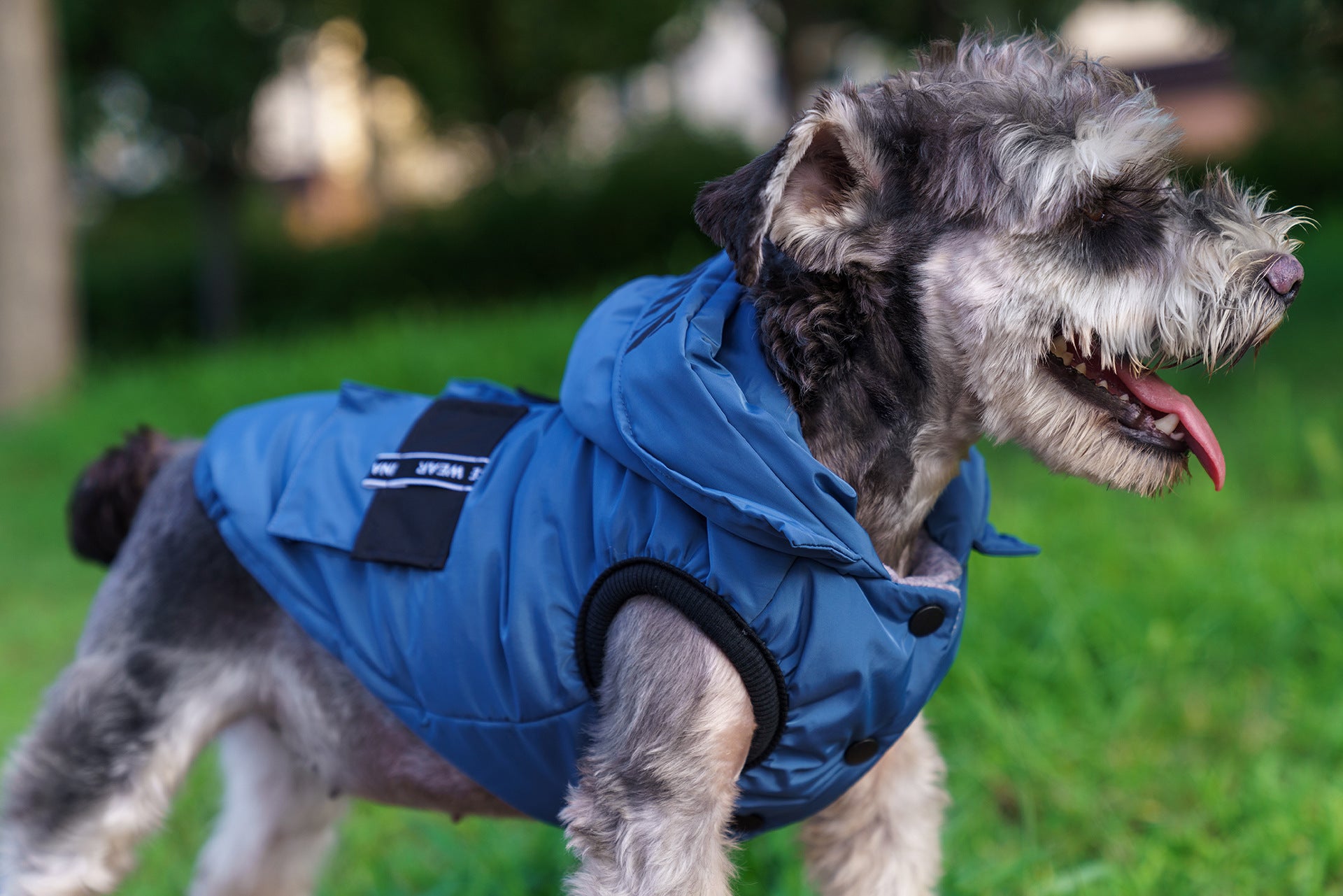 Autumn And Winter New Pet Hooded