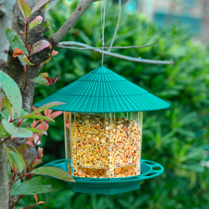 Garden Hanging Transparent Bird Feeder