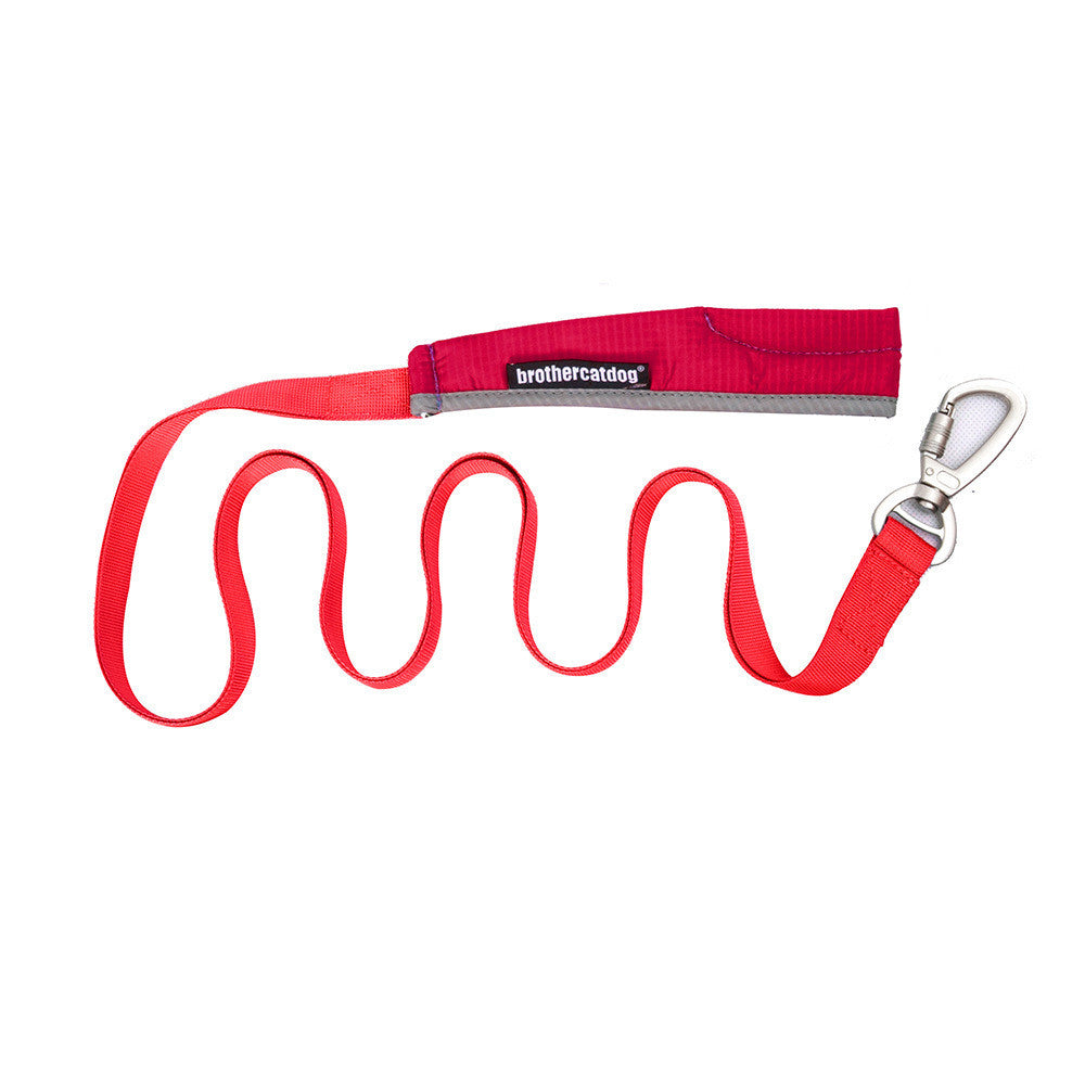 Explosion Proof Big Dog Chest Strap Cat Leash