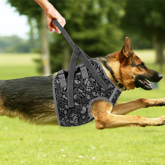 Anti-large Dog Explosion Punch Dog Chest Strap