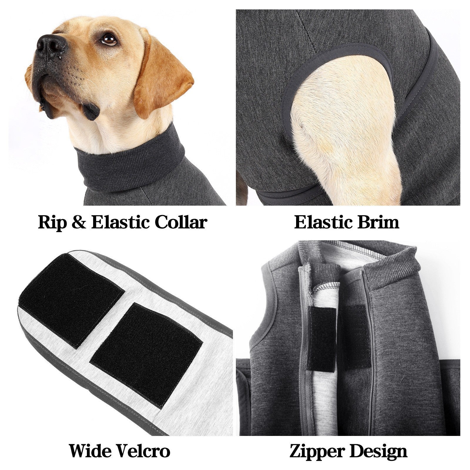 Pet Polyester Emotional Comfort Cotton Double