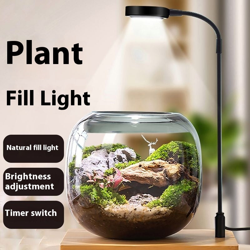 Led Micro Landscape Fish Tank