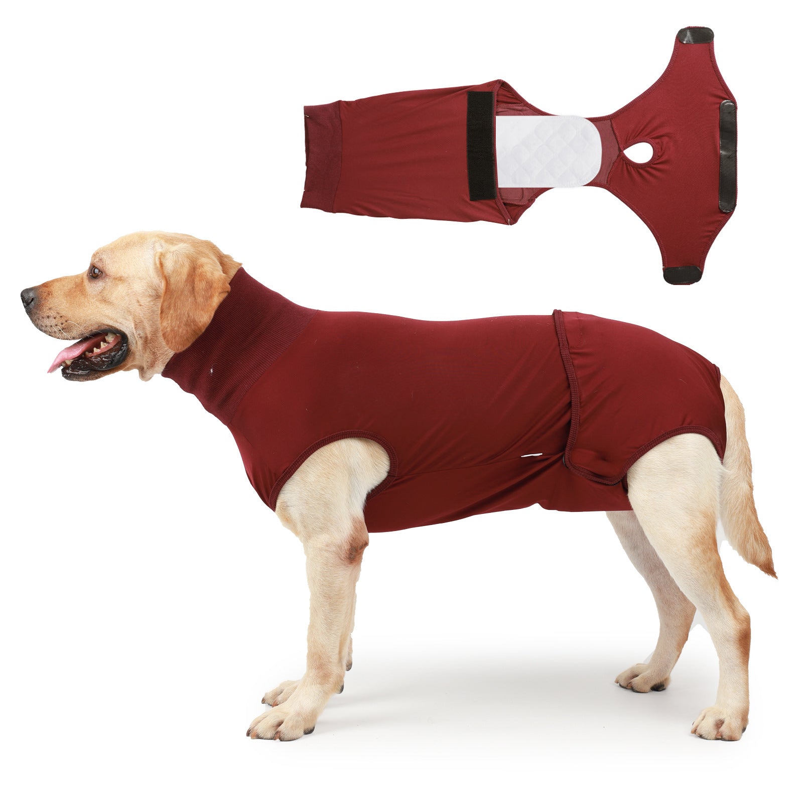 Wearing Pet Dog Clothing