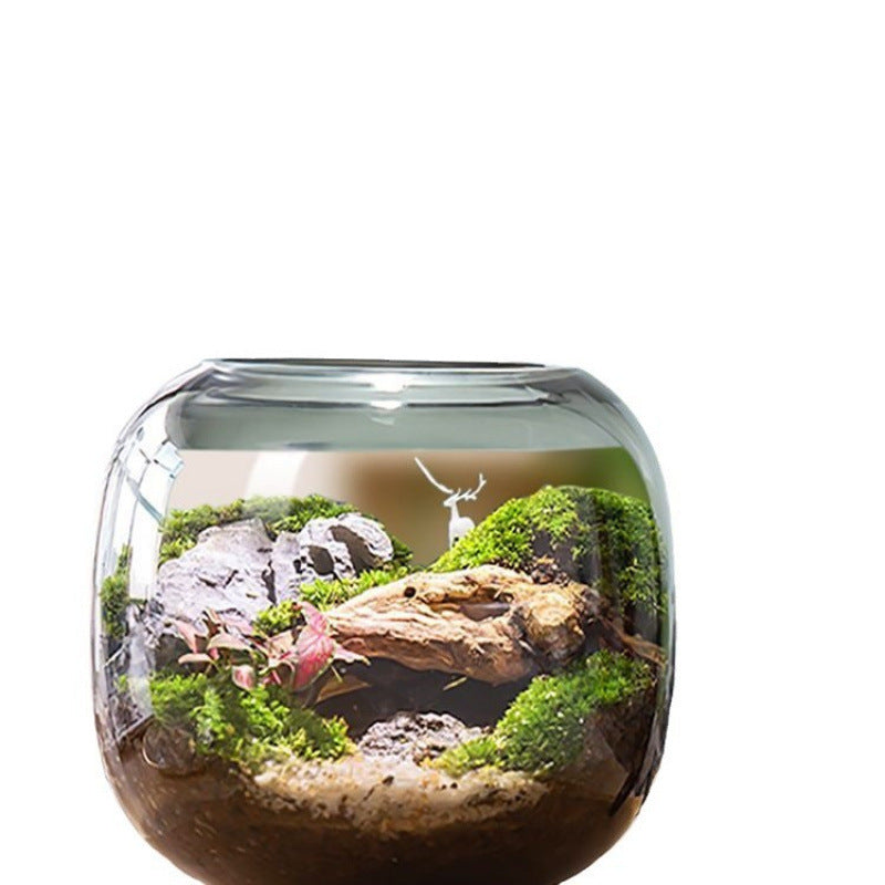 Led Micro Landscape Fish Tank