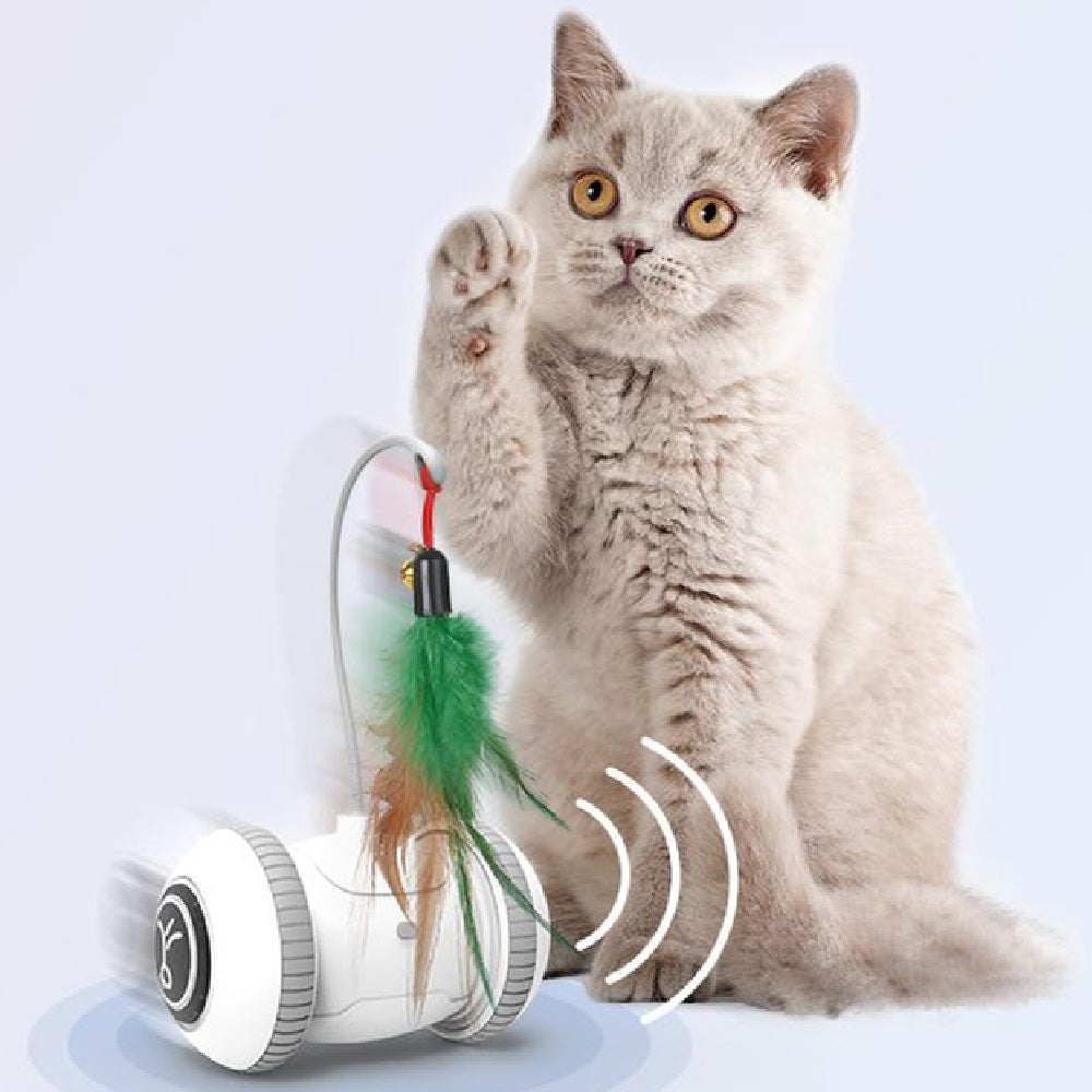 Interactive Cat Toy With Heads
