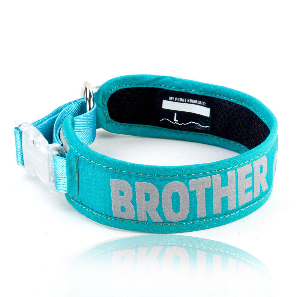 Explosion Proof Big Dog Chest Strap Cat Leash